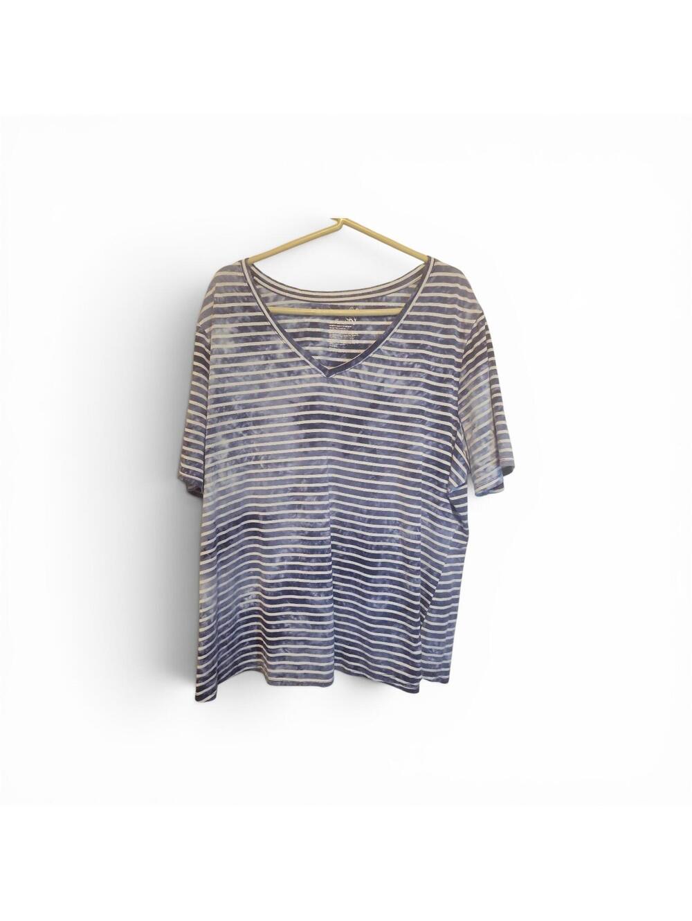 Terra & Sky Striped V-Neck T-Shirt